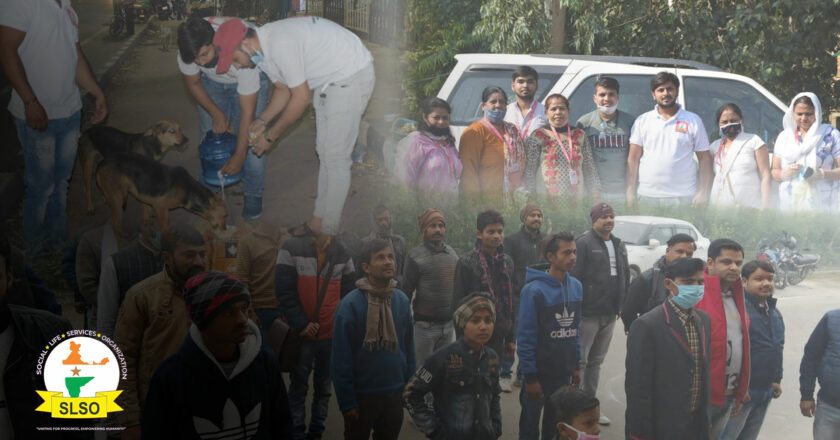 Social Life Services Organization (SLSO): Making a Positive Impact on Communities