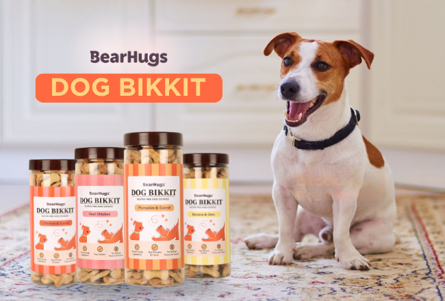Delhi-based Petcare Brand, BearHugs, is Pioneering a Petcare Revolution in India