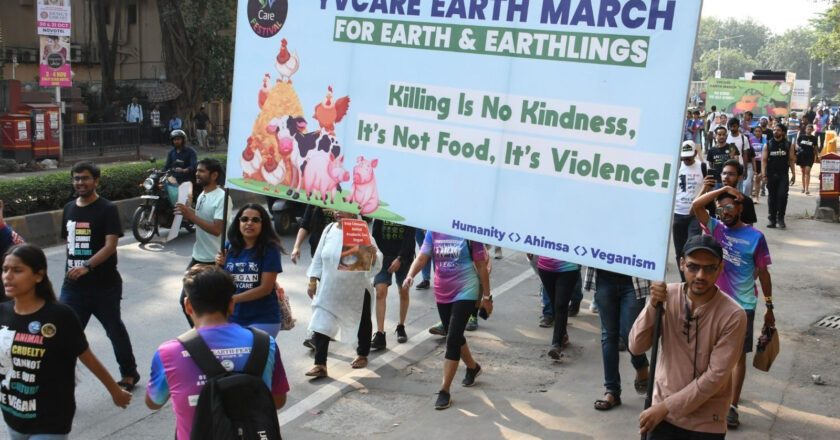 YVCare Earth Festival Poised to Emerge as Asia’s Largest Vegan Event