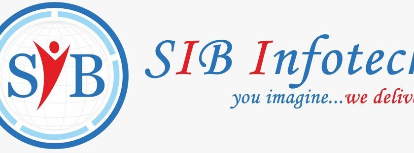 SIB Infotech Earns Google Premier Partner Status, Elevating Digital Marketing Solutions