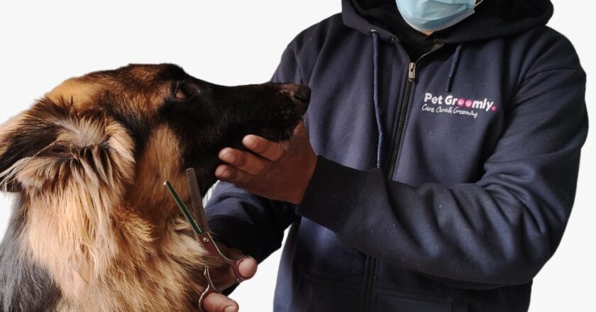 Pet Groomly – Best at-home Grooming Services at an affordable cost for every pet parent