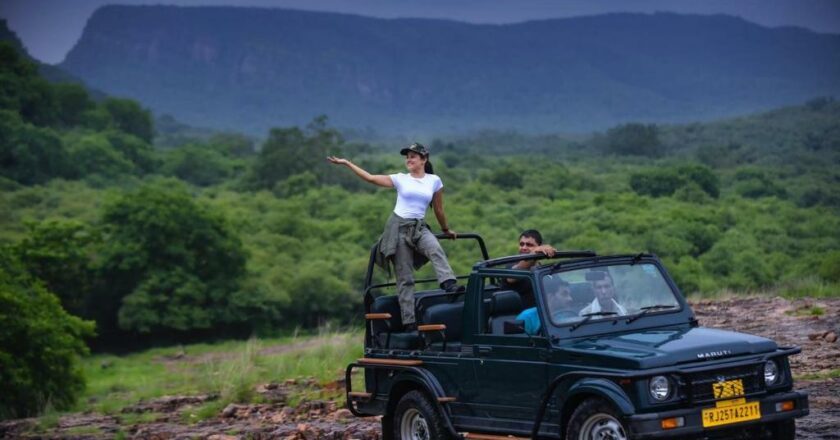 Explore the Wilderness of Ranthambore National Park: Your Ultimate Safari Adventure Awaits