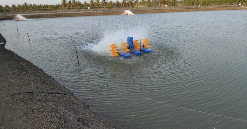 Aquaculture industry’s Leading paddle wheel aerator manufacturers Ardis Enviro Solutions