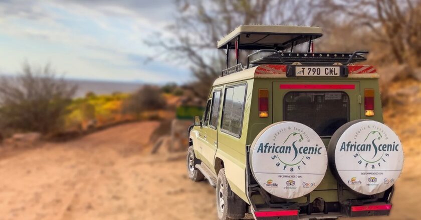 African Scenic Safaris – Tailor-Made Experiences in Tanzania Safari & Kilimanjaro Climb