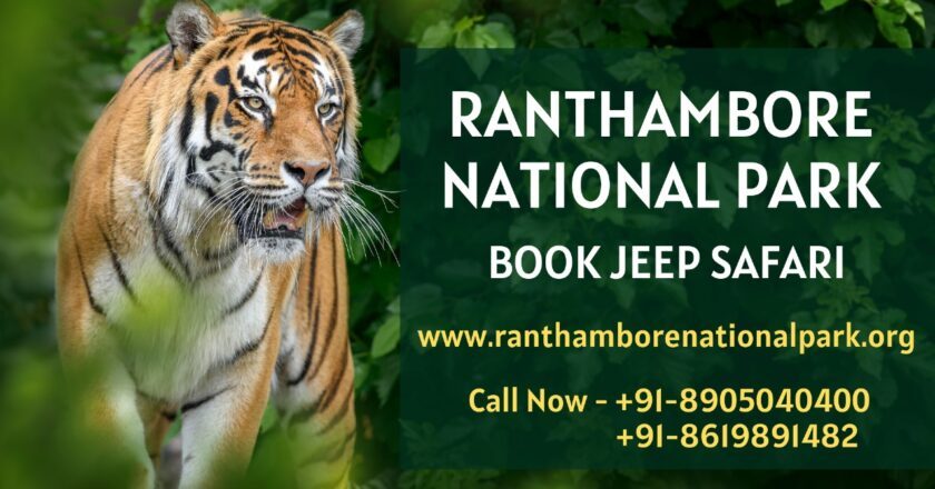 Exploring the Wilderness: A Thrilling Wildlife Safari at Ranthambore National Park