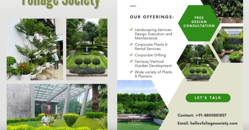 Elevate Your Outdoors with Foliage Society’s Expert Maintenance Services