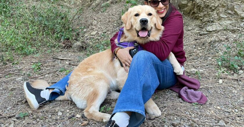 Bakson Veterinary: Revolutionizing Pet Care with Homeopathic Solutions, Inspired by a Personal Journey of Healing