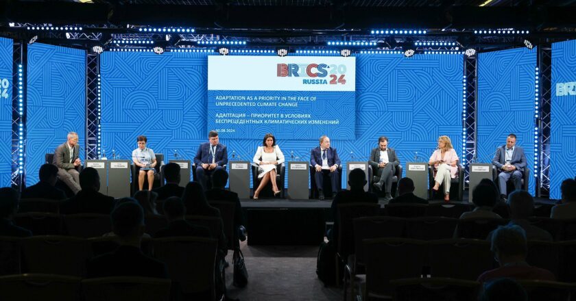 Nornickel’s Palladium Centre proposed initiatives for public-private partnerships in BRICS countries
