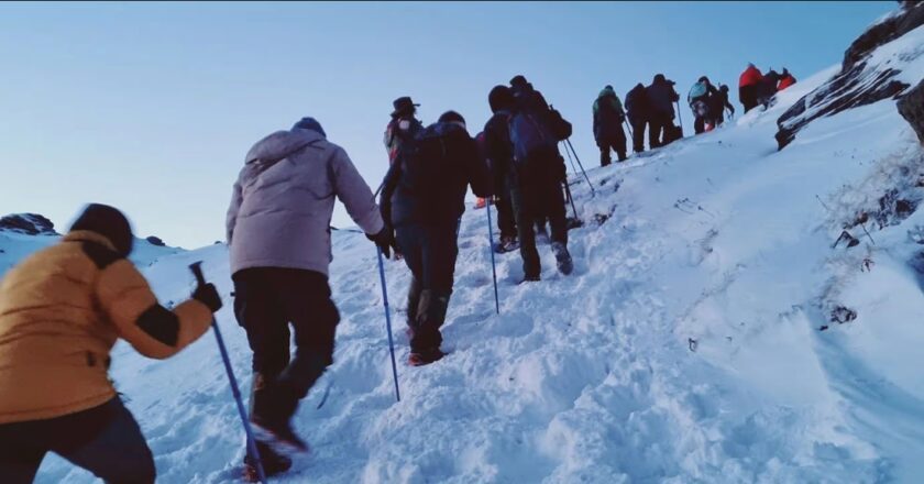 Triund Trek Unveils New Trekking Packages for 2024—Explore the Himalayas with Exclusive Triund and Snowline Treks