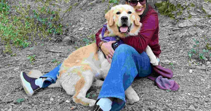 Bakson Veterinary: Revolutionizing Pet Care with Homeopathic Solutions, Inspired by a Personal Journey of Healing