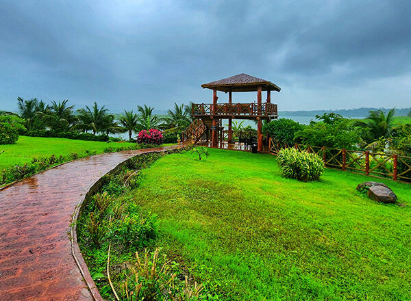 Heal your mind naturally at Fazlani’s Nature Nest’s Tranquil Oasis