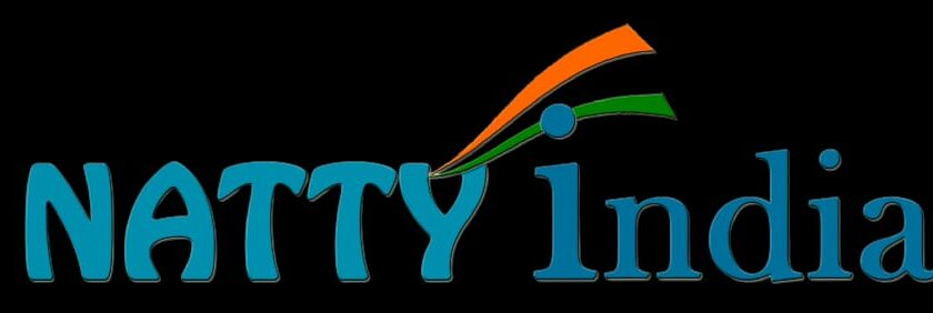 NattyIndia: Streamlining the digital payment process for every Indian citizen