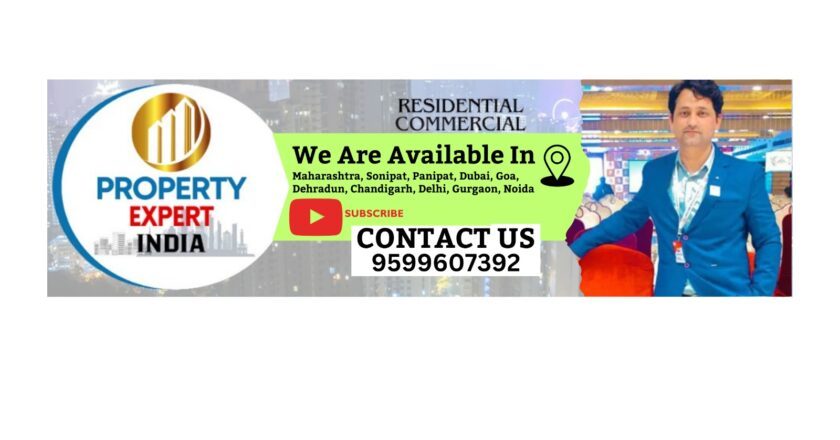 Exploring the Real Estate World with Property Expert India