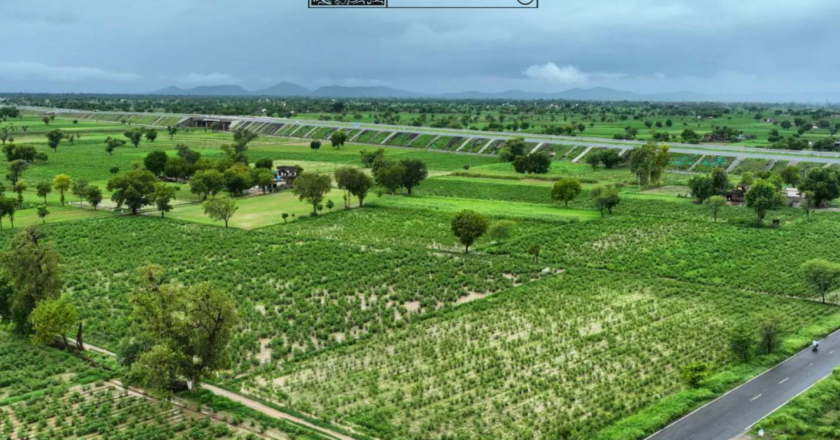 Lutyenz Living: A Revolutionary Gated Farmhouse Community in Naugaon Extension (Sirmaur, Rajasthan)